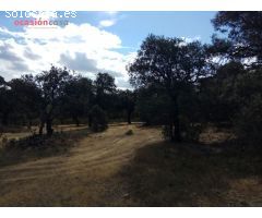 FINCA EN VENTA EN VILLANUEVA DEL DUQUE