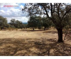 FINCA EN VENTA EN VILLANUEVA DEL DUQUE