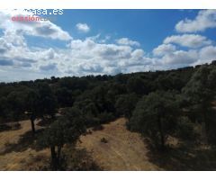 FINCA EN VENTA EN VILLANUEVA DEL DUQUE