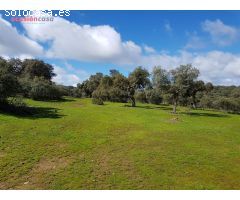 FINCA DE ENCINAS CON CORTIJO Y NAVES