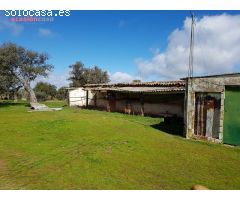 FINCA DE ENCINAS CON CORTIJO Y NAVES