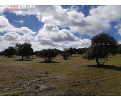 FINCA DE ENCINAS CON CORTIJO Y NAVES