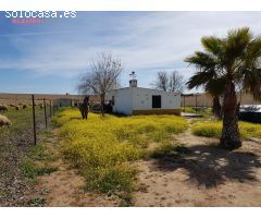 PARCELA CON PEQUEÑA CASA Y POZO