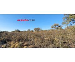 FINCA DE MONTE Y OLIVOS