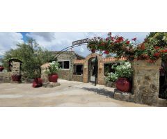 CHALET CON OLIVOS EN VILLARALTO