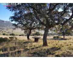 PARCELA CON CHALETS EN PLENA NATURALEZA