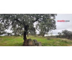 PARCELA RÚSTICA EN PEDROCHE