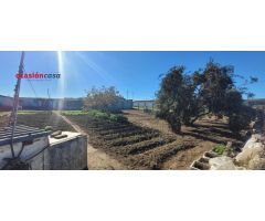 SOLAR RÚSTICO EN VENTA