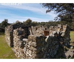 FINCA DE ENCINAS DE 8 FANEGAS