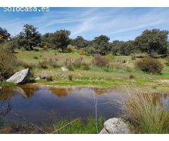 FINCA DE ENCINAS DE 8 FANEGAS
