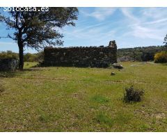 FINCA DE ENCINAS DE 8 FANEGAS