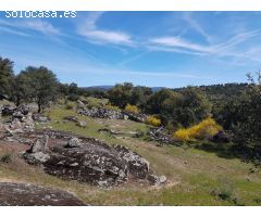 FINCA DE ENCINAS DE 8 FANEGAS