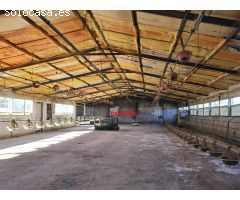 GRANJA DE PAVOS EN VENTA