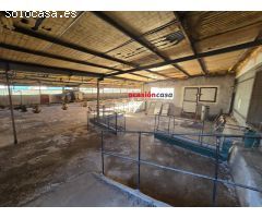 GRANJA DE PAVOS EN VENTA
