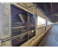 GRANJA DE PAVOS EN VENTA