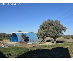 GRANJA DE PAVOS EN VENTA
