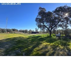GRANJA DE PAVOS EN VENTA