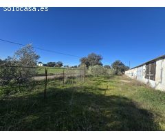GRANJA DE PAVOS EN VENTA