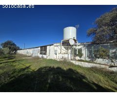 GRANJA DE PAVOS EN VENTA