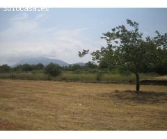 Gran terreno rústico de 20.000 m² en Torrecarrals