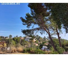 Parcela en el montgó
