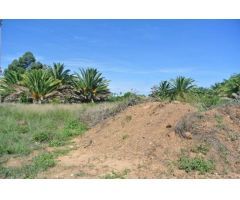 Parcela de 15.000m2 al lado del núcleo urbano de Dénia.