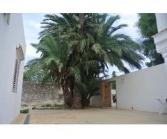 Parcela de 15.000m2 al lado del núcleo urbano de Dénia.