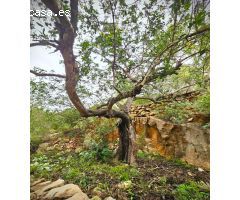 Terreno en venta cerca del Montgó