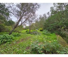 Terreno en venta en zona galeretes