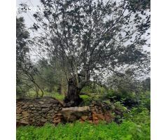 Terreno en venta en zona galeretes