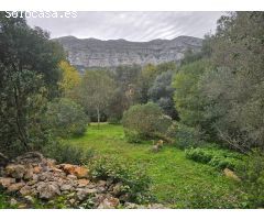 Terreno en venta en zona galeretes