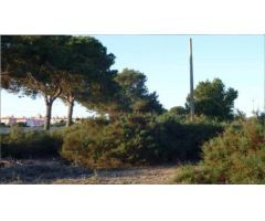 TERRENO RÚSTICO EN SANTA POLA