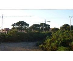 TERRENO RÚSTICO EN SANTA POLA