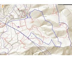 TERRENO FORESTAL EN CASTALLA