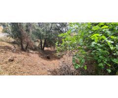 TERRENY EN VENDA A SANT FELIU DEL RACÓ