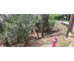 TERRENY EN VENDA A SANT FELIU DEL RACÓ
