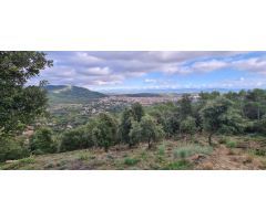 TERRENY EN VENDA