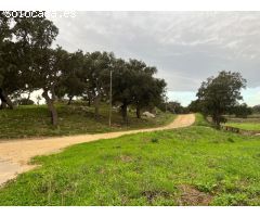 Parcela en Venta en Capmany, Girona