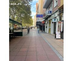 AVENIDA REYES CATÓLICOS, JUNTO AL PASEO ZORRILLA