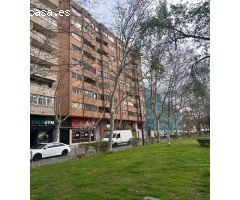 PASEO ZORRILLA