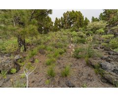 Chalet en Venta en Fuencaliente de la Palma, Santa Cruz de Tenerife