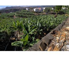 Parcela en Venta en Santa Cruz de la Palma, Santa Cruz de Tenerife