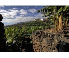 Parcela en Venta en Santa Cruz de la Palma, Santa Cruz de Tenerife