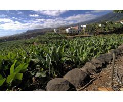 Parcela en Venta en Santa Cruz de la Palma, Santa Cruz de Tenerife