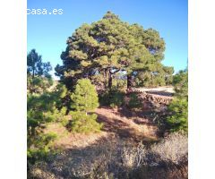 Chalet en Venta en El pinar de el hierro, Santa Cruz de Tenerife