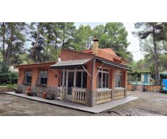 PARCELA CON CASA EN FINCA TEROL