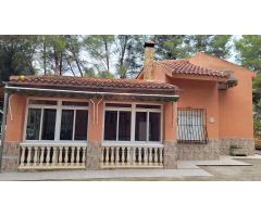 PARCELA CON CASA EN FINCA TEROL