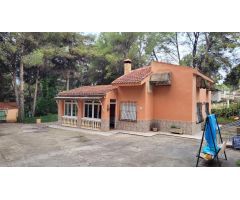 PARCELA CON CASA EN FINCA TEROL