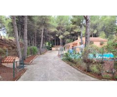 PARCELA CON CASA EN FINCA TEROL