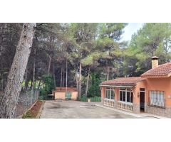 PARCELA CON CASA EN FINCA TEROL